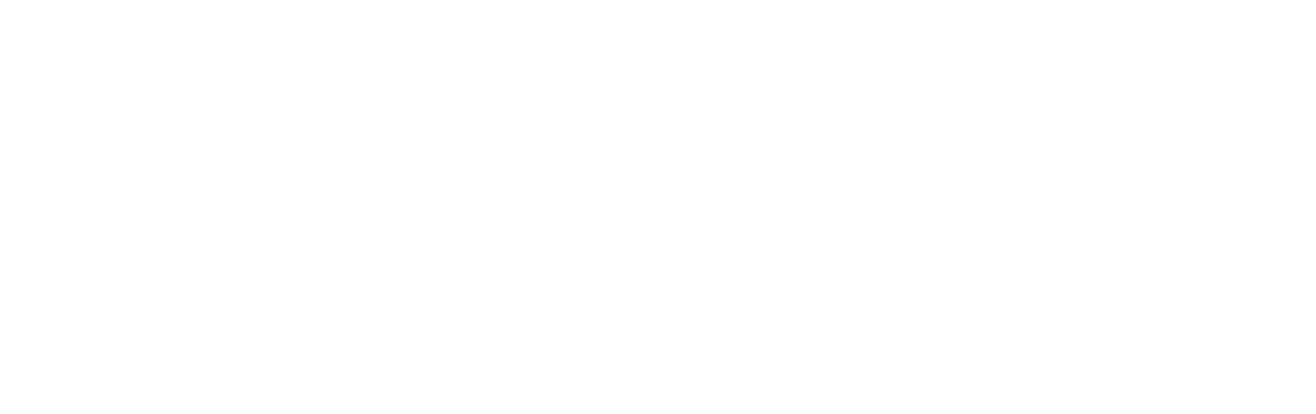 Rebel Racing